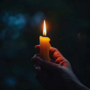 Alexandra Weiss : Brawerman Elementary School Teacher Sadly Passed Away Unexpectedly – Los Angeles, California