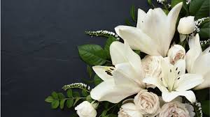 Liam Gatto  : Bath Public School Student Passed Away Unexpectedly – Bath, Ontario